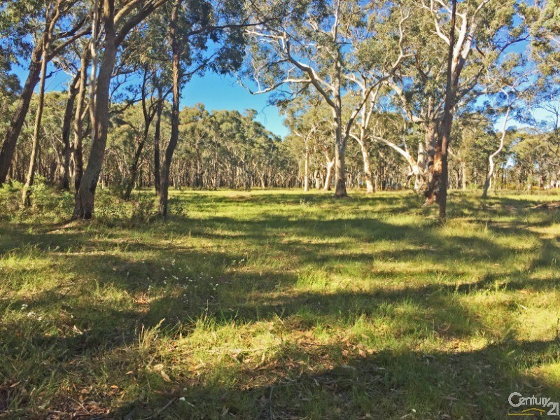 20 Colo Road, Colo Vale, NSW 2575