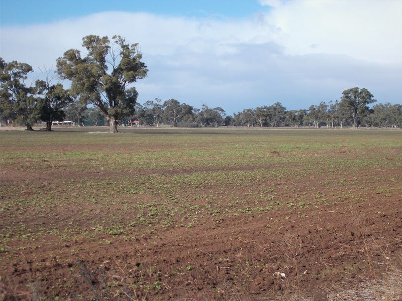 Section 64 Pigeon Flat Road, Mundulla, SA 5270 Property Details