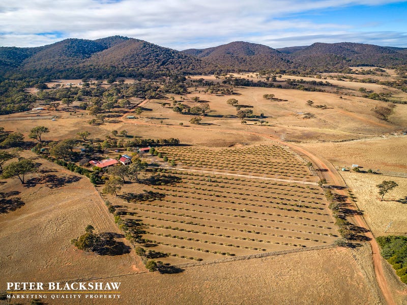 103 Mount Colinton Road, Colinton, NSW 2626