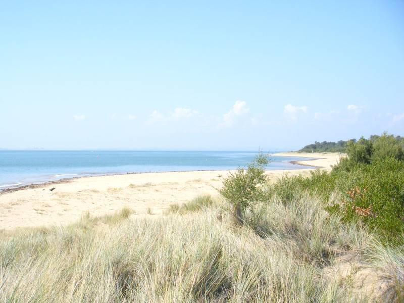 11 Shearwater Drive, Silverleaves, Vic 3922 Property Details