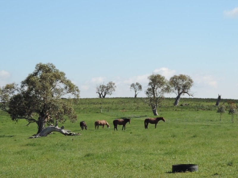 75 Telegraph Hill Road, Currawang, NSW 2580