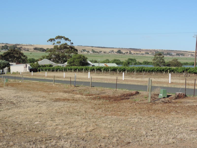 Lot 201 Hann Road, White Sands, SA 5253