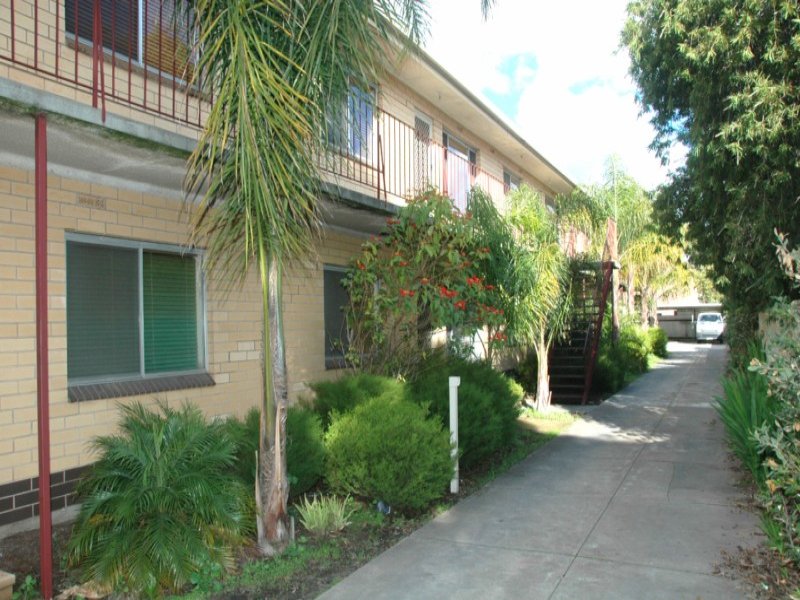 5/33 Everard Avenue, Ashford, SA 5035