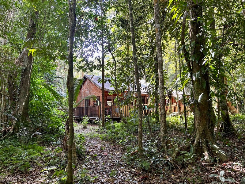 Lot 460 Black Bean Road, Daintree, Qld 4873 Property Details