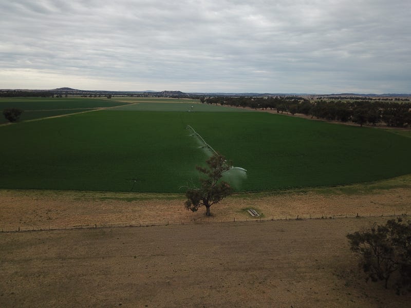 Little River 914 Terrabella Road, Geurie, NSW 2818 Property Details