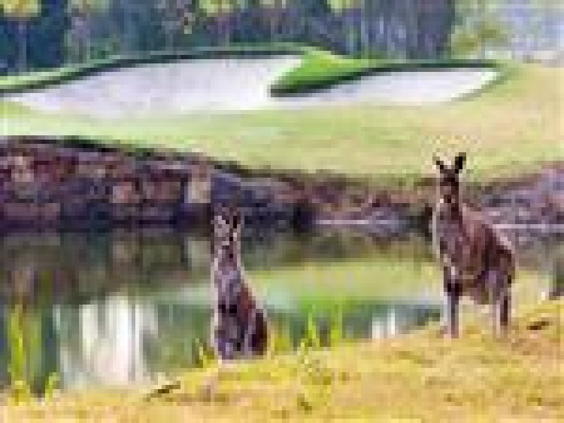 16 Carnoustie Way, Medowie, NSW 2318