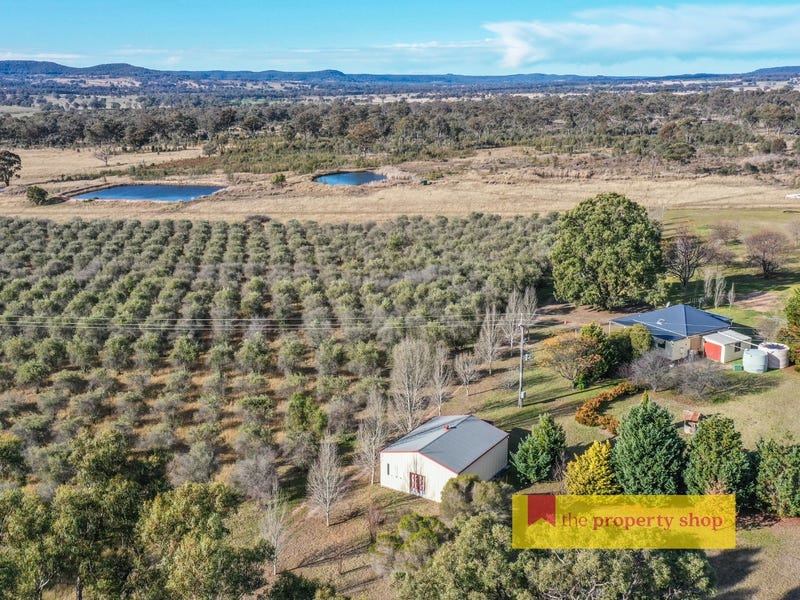 1734 Ulan Road, Mudgee, NSW 2850 Lifestyle for Sale