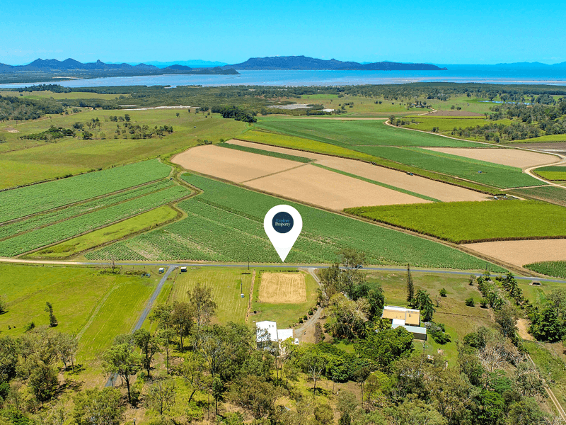 223 Olletts Road, Habana, Qld 4740 Property Details