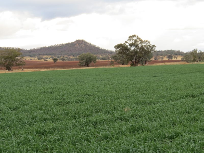 2646 Gineroi Road, Warialda Rail, NSW 2402