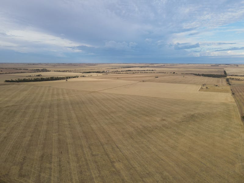 Sec 117 Tancock Road, Mundoora, SA 5555 Property Details