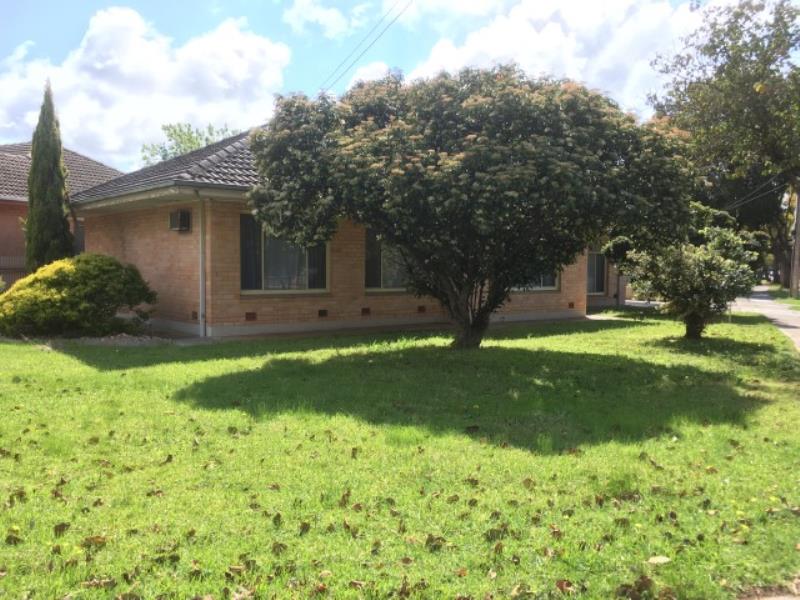 16 Bray Avenue, Klemzig, SA 5087