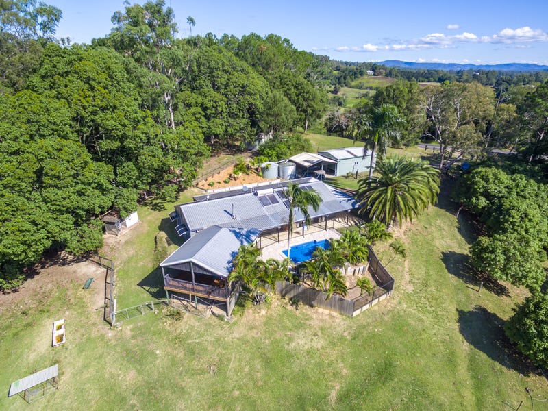 534 Cooroy Belli Creek Road, Black Mountain, QLD 4563 - realestate.com.au