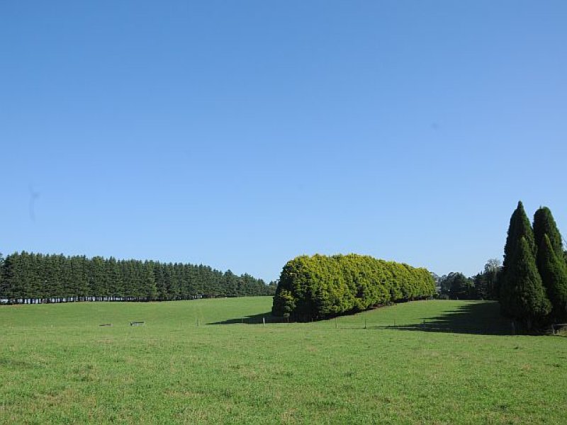 Lots 1 + 2 Illawarra Highway, Burrawang, NSW 2577 Property Details