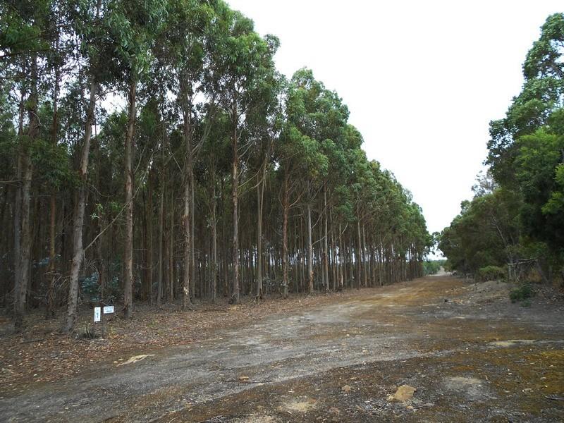 Lot 2 Reynolds Road, Narrikup, WA 6326 Property Details