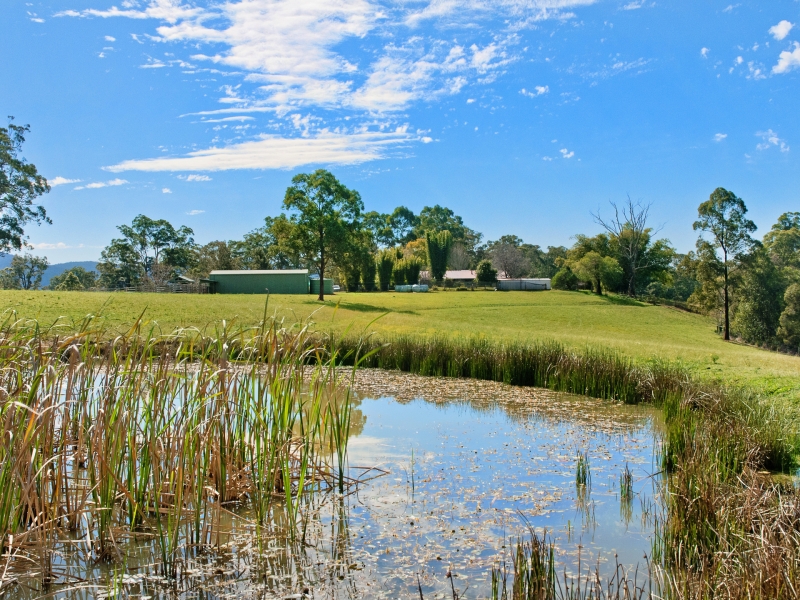 1647 Rollands Plains Road, Rollands Plains, NSW 2441 Property Details