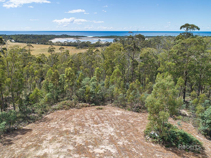 6 Barnard Drive, Bicheno, TAS 7215