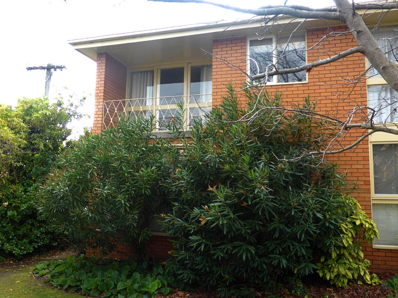 5/389 Mont Albert Road, Mont Albert, VIC 3127