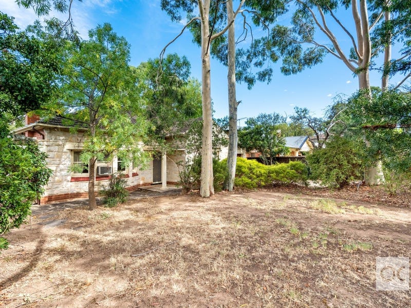 8 Pitcairn Avenue, Urrbrae, SA 5064 Property Details