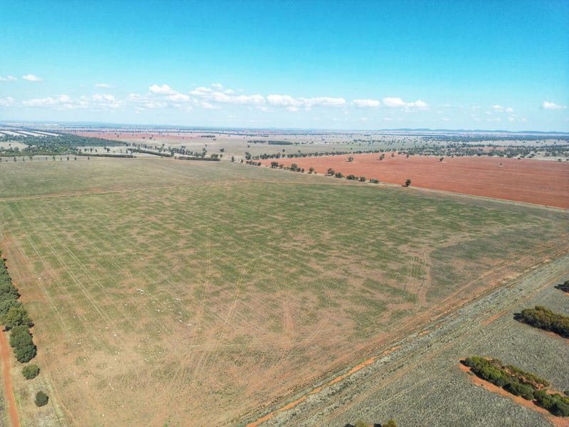 'Wallaroi West' 972 Wardry Bus Road, Condobolin, NSW 2877 Cropping