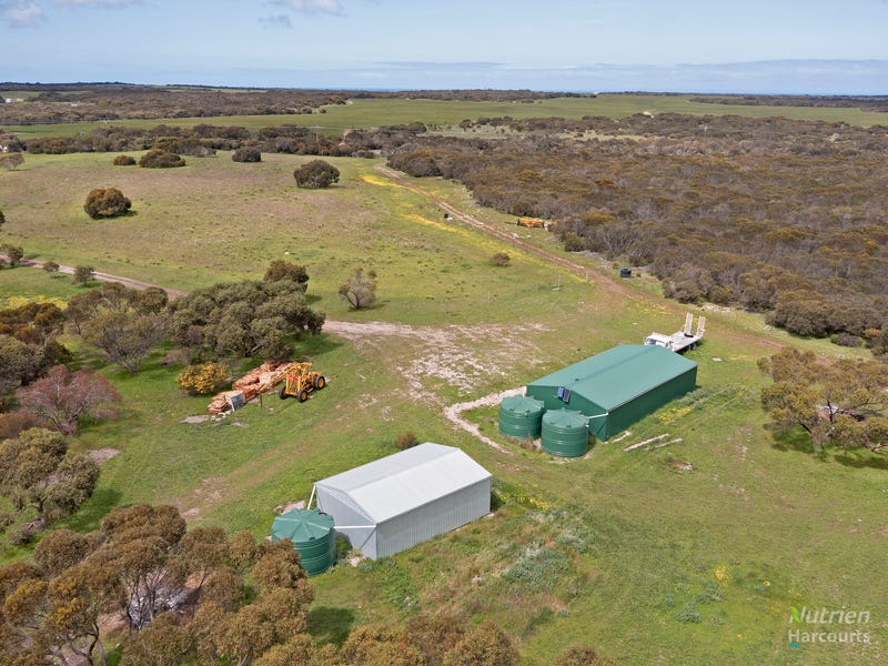 Sect. 146 Yorke Highway, Warooka, SA 5577 Cropping for Sale