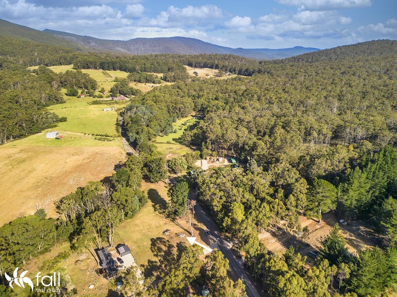 The Cloudy Bay Shed - All You Need to Know BEFORE You Go (with Photos)