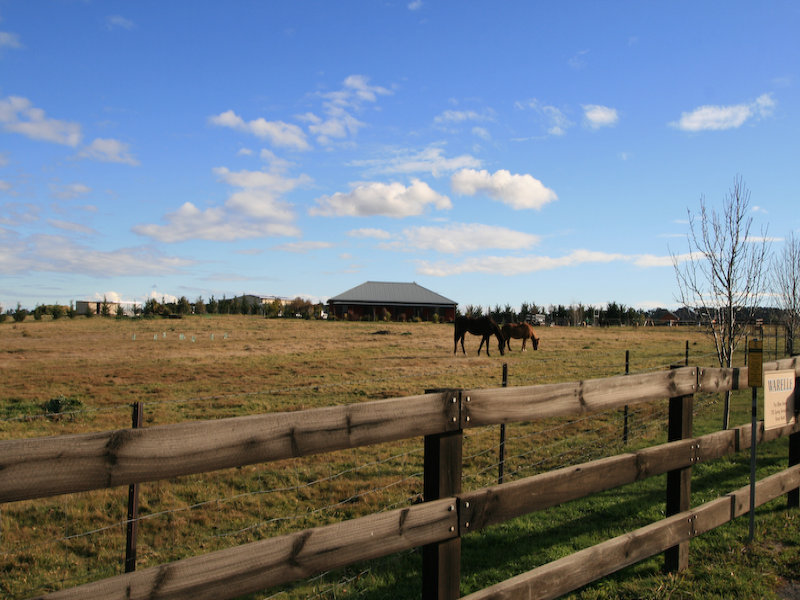 710 Spring Terrace Road, Forest Reefs, NSW 2798