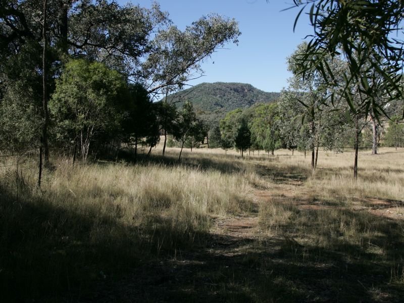 12/786586 Rocky Creek Road, Bonshaw, NSW 2361 Property Details