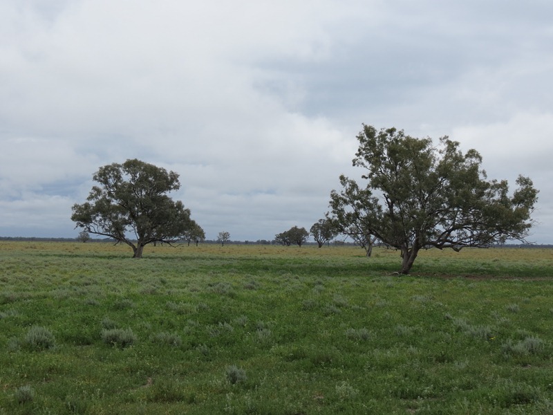 "Langboyd" Jobs Gate Road, Brewarrina, NSW 2839 Property Details
