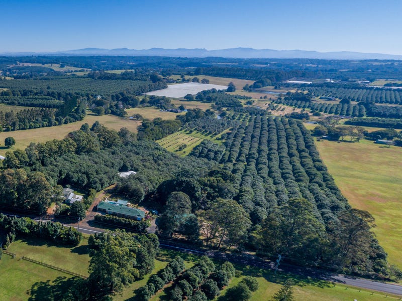 388 Rous Road, Rous Mill, NSW 2477