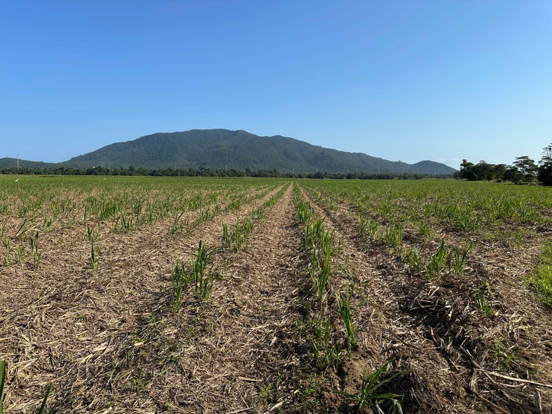 Lot 2 Broderick Road, Midgenoo, Qld 4854 Other for Sale realestate