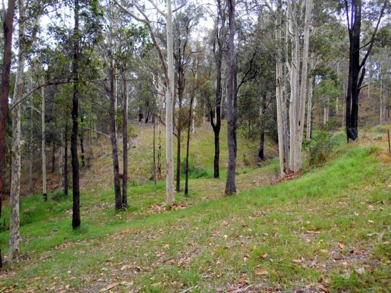 436 Sandy Creek Road, Mount Vincent, NSW 2323