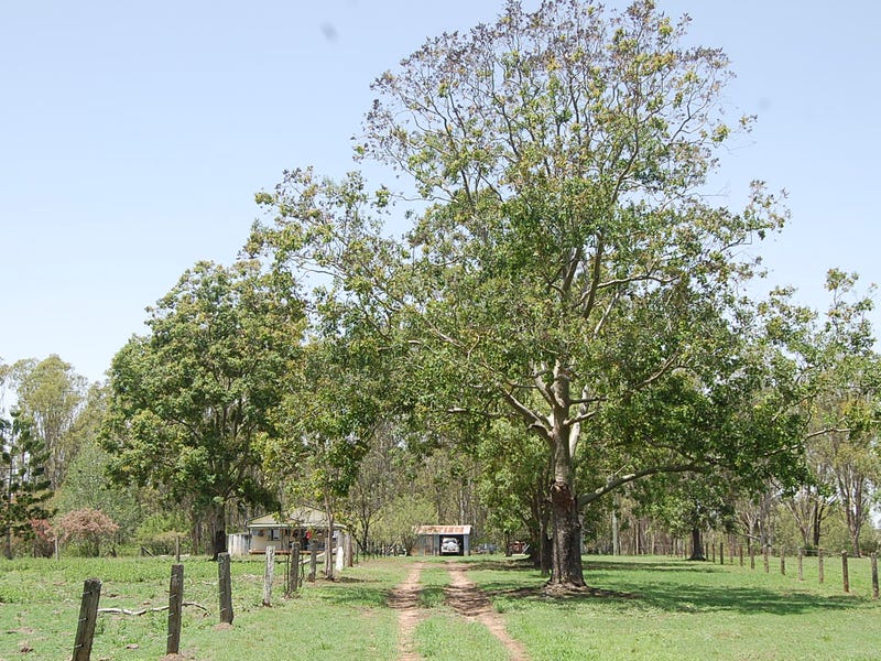 Lot 3, 785865 Busbys Flat Road, Leeville, NSW 2470 Property Details