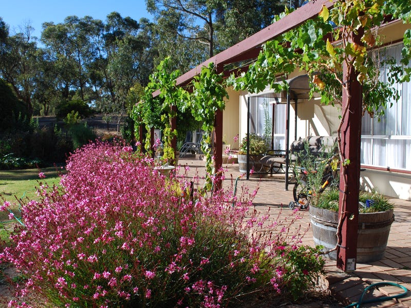 1256 Lower North East Road, SA 5132 Property Details