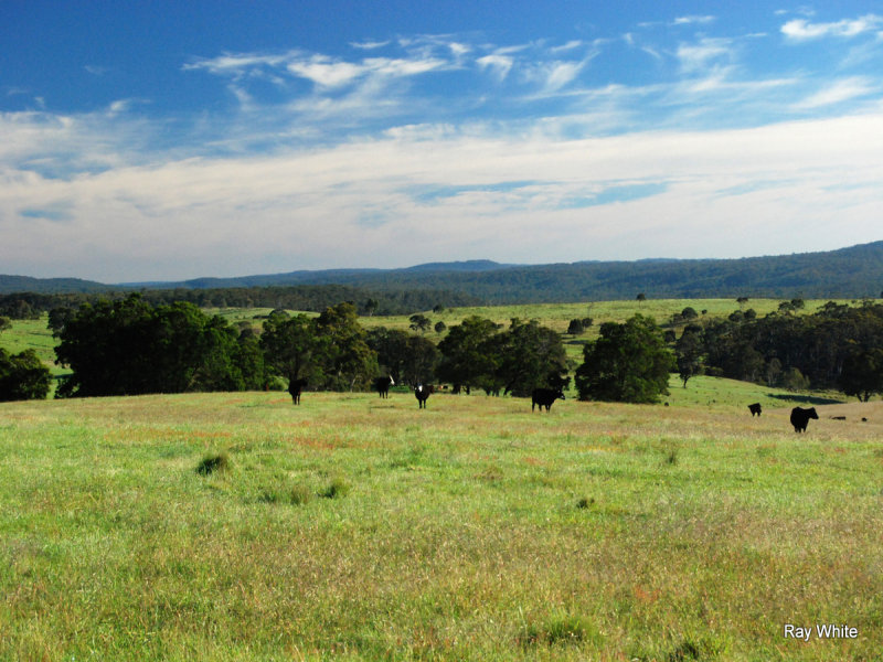 3600 Nerriga Road, Braidwood, NSW 2622 Property Details