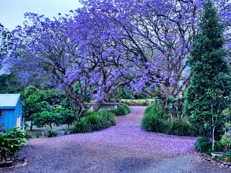 Real Estate & Property for Sale in Hawks Nest, NSW 2324 (+1 location