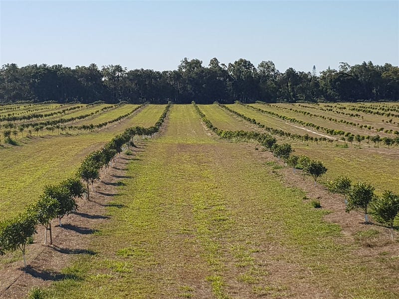 713 Gooburrum Road, Creek, QLD 4670