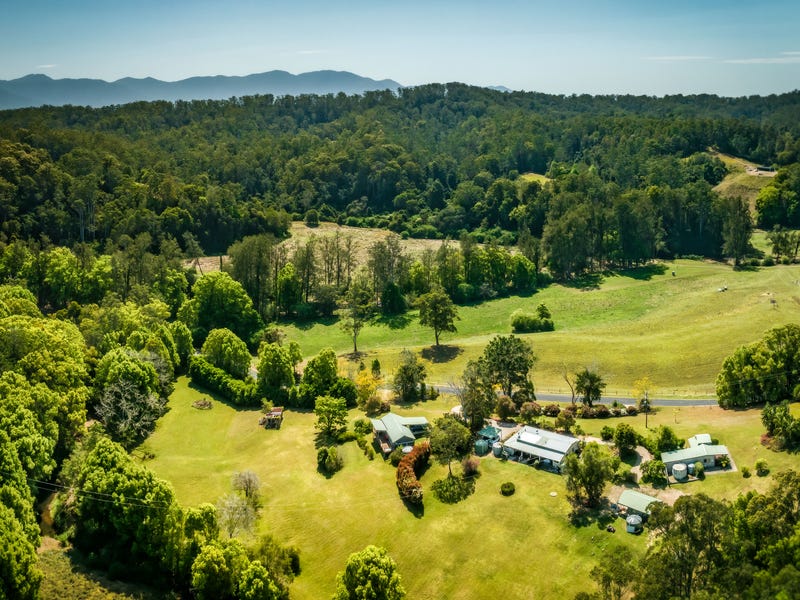 259 Kalang Road, Bellingen, NSW 2454 House for Sale