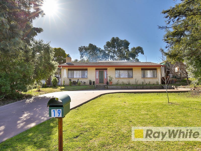 19 Riverview Drive, Dareton, NSW 2717 Property Details