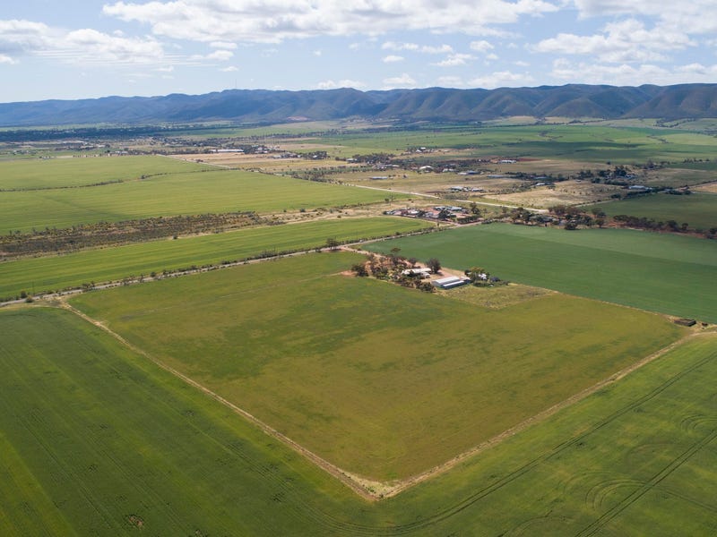288 Locks Road, Warnertown, SA 5540 Property Details