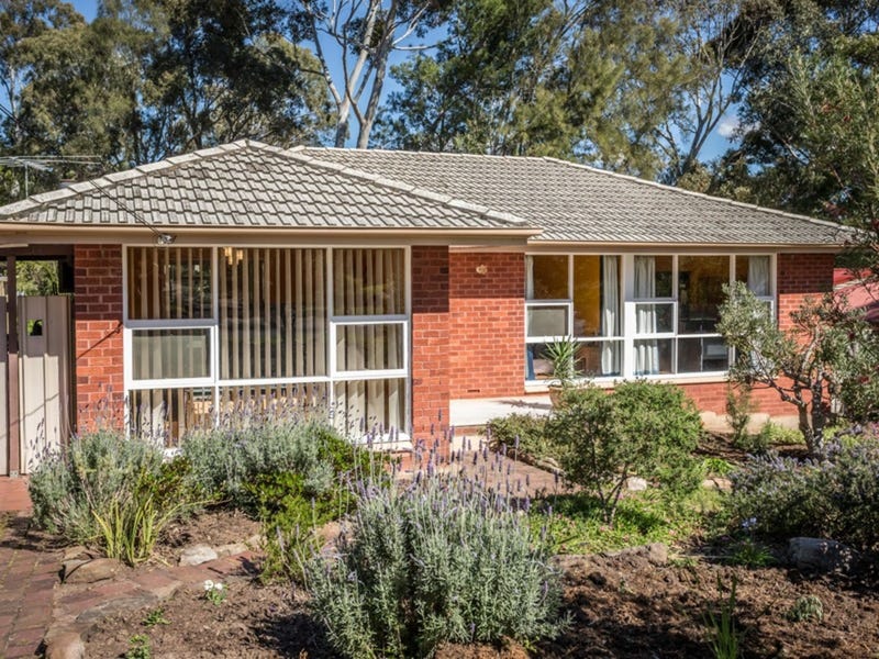 19 South Boulevard, Tea Tree Gully, SA 5091