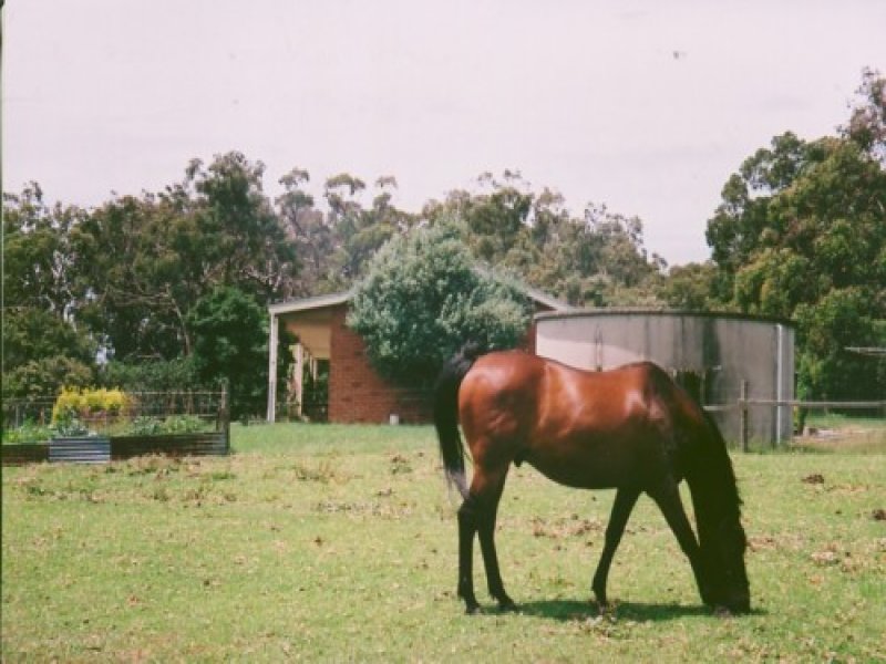 40 Mount Lyall Road, Heath Hill, VIC 3981