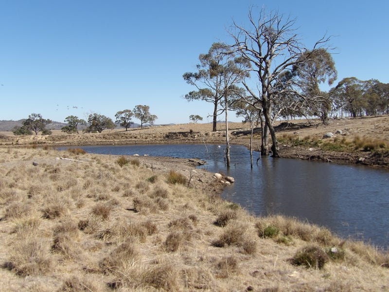 Rural properties for Sale in Dundee, NSW 2370