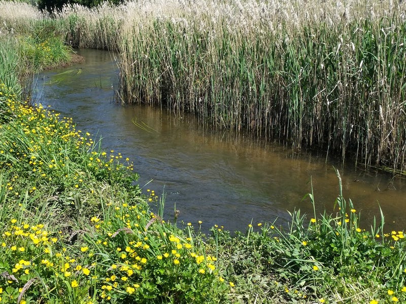 42 Dyes Lane, Buxton, VIC 3711