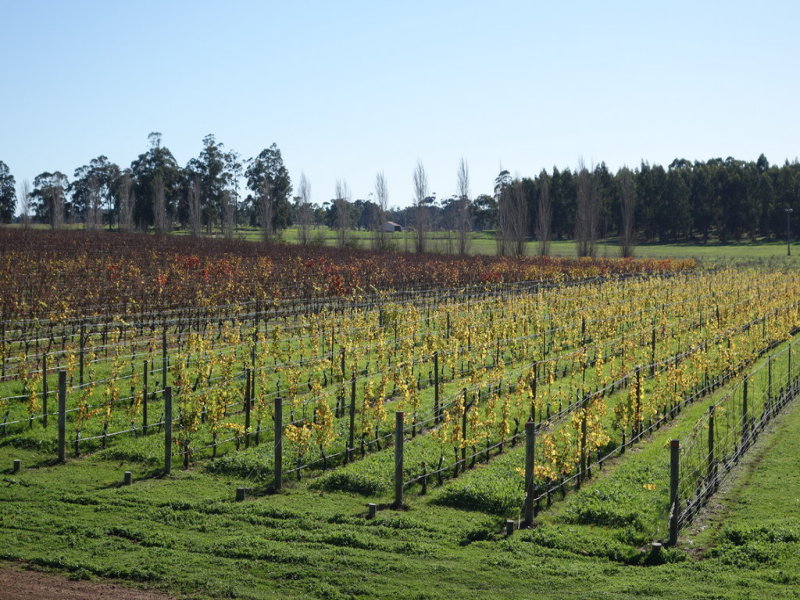 679 Calgardup Road, Forest Grove, WA 6286