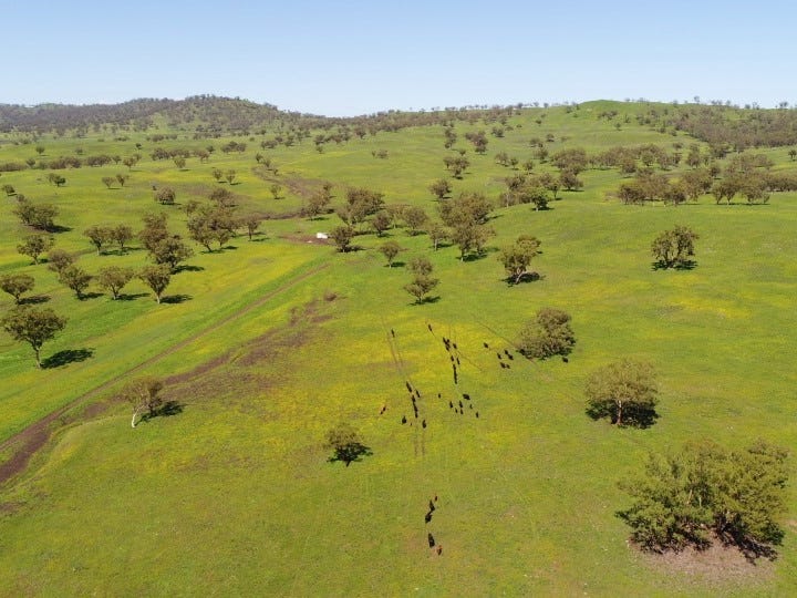 460 Kars Springs Road, Scone, NSW 2337 Property Details