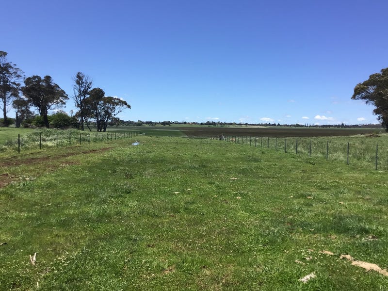 14 Charlies Lane, Guyra, NSW 2365 Other for Sale