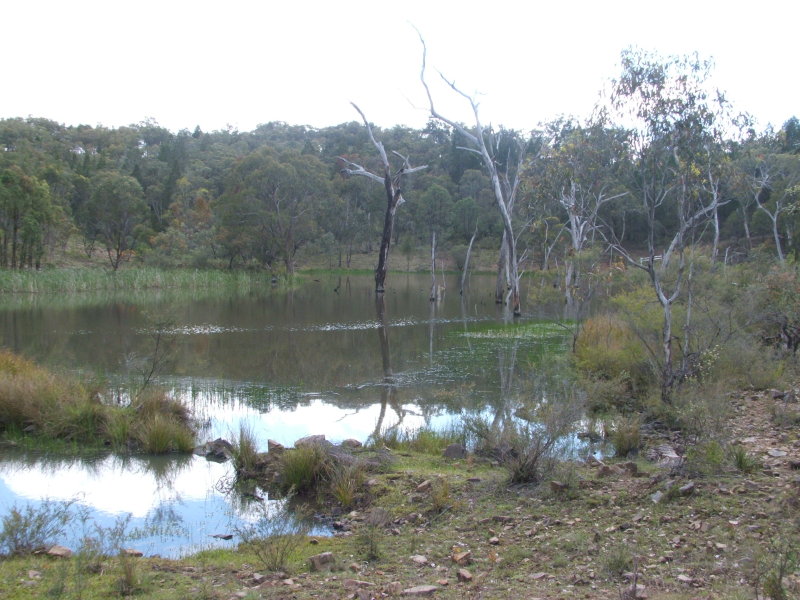 Address available on request, Torrington, NSW 2371 Property Details