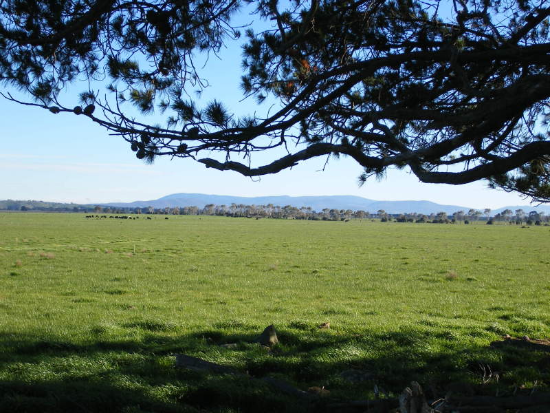 920 Wildwood Road, Wildwood, VIC 3429