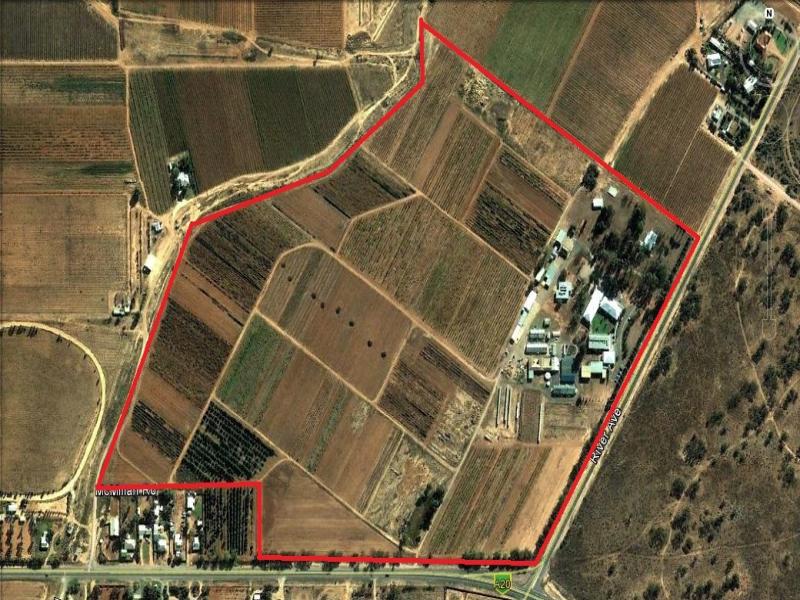 585 River Avenue, Merbein South, VIC 3505