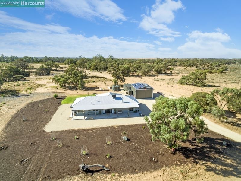 Lot 231 Gurra Road, Berri, SA 5343 Property Details